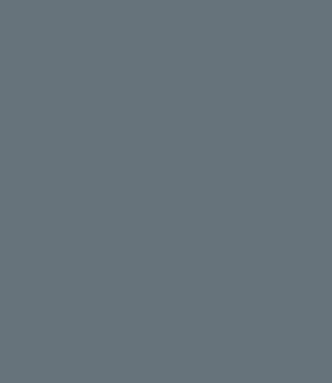 background 66737B 645 x 744